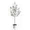 6ft. Olive Artificial Tree in White Tin Planter